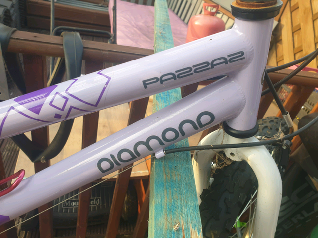 pazzaz 24 inch bike